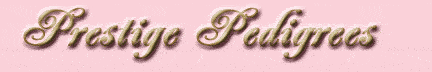 Prestige Pedigrees