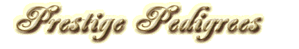 Prestige Pedigrees